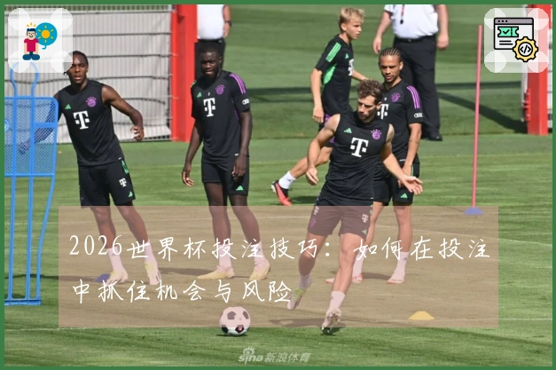 2026世界杯投注技巧：如何在投注中抓住机会与风险