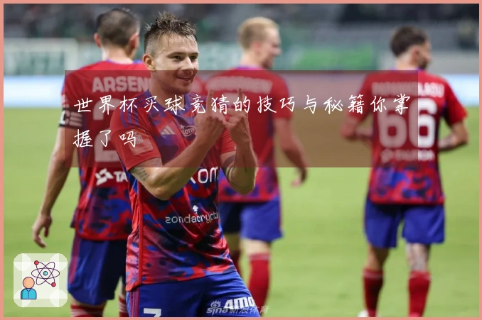 世界杯买球竞猜的技巧与秘籍你掌握了吗