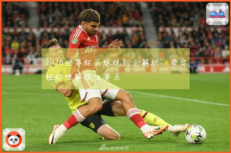 2026世界杯买球规则全解析，带你轻松理解投注要点