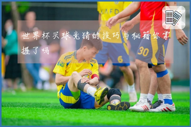 世界杯买球竞猜的技巧与秘籍你掌握了吗