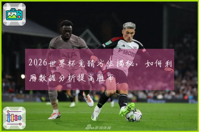 2026世界杯竞猜方法揭秘，如何利用数据分析提高胜率